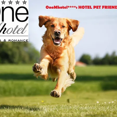 Hotel Onemhotel San Paolo (Lombardy)